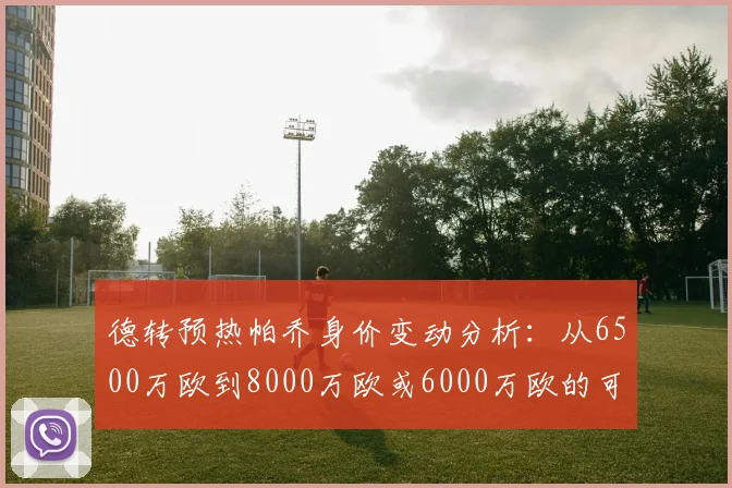德转预热帕乔身价变动分析：从6500万欧到8000万欧或6000万欧的可能性探讨