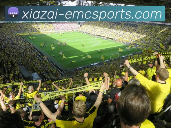 易倍体育发展历程